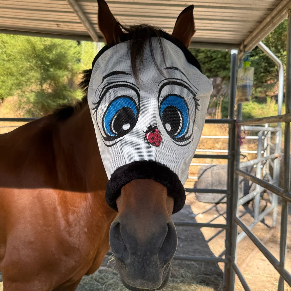 Please make us an offer!  Keep in mind Poshmark takes 20%